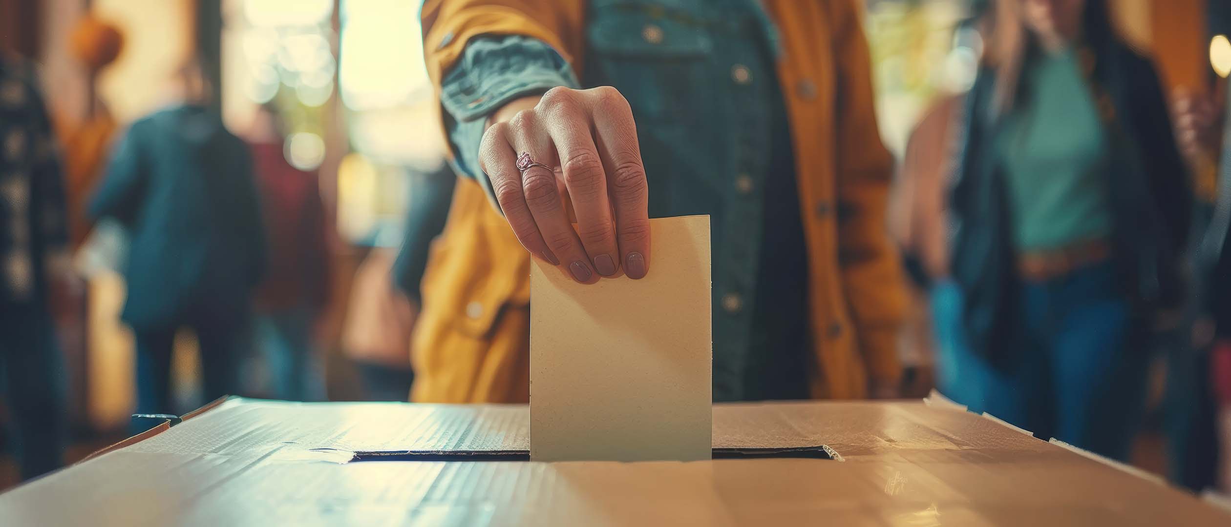 Pledge To Vote 18 - The Political Fixer